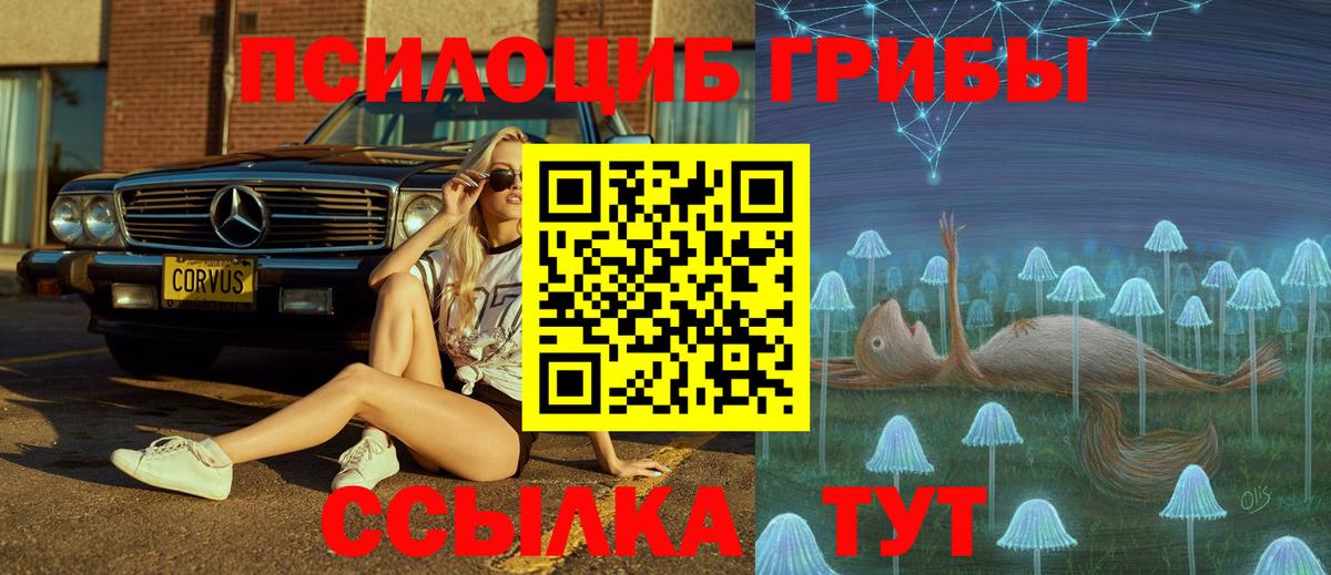 Псилоцибиновые грибы Magic Shrooms  Вход с VPN  Россия 