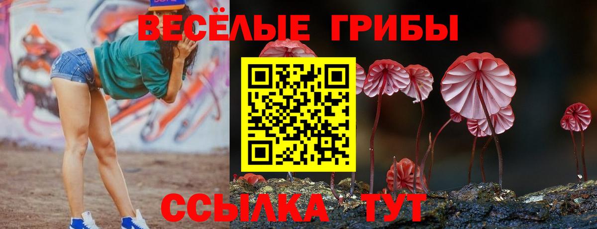 Галлюциногенные грибы Cubensis Россия